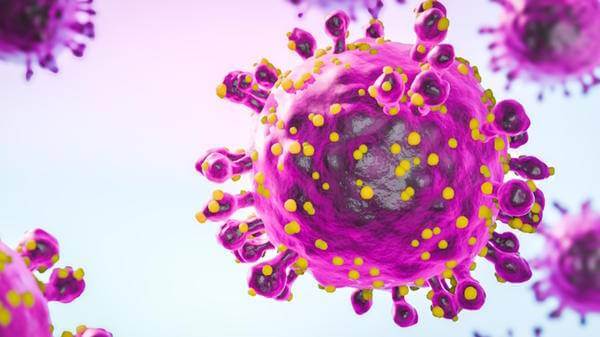 Oropouche virus