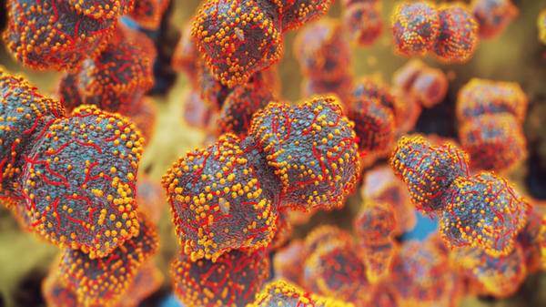 Image of mpox virus 