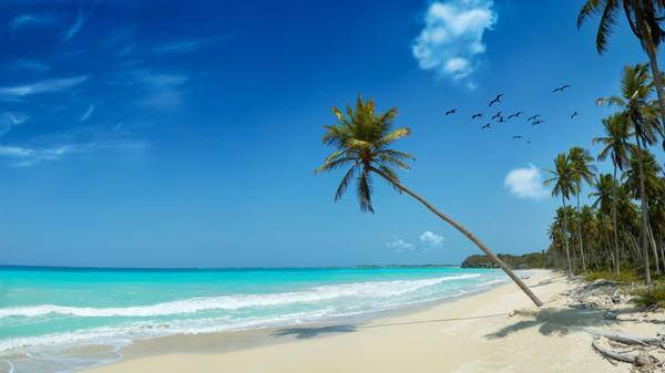 Image of tropical island beach