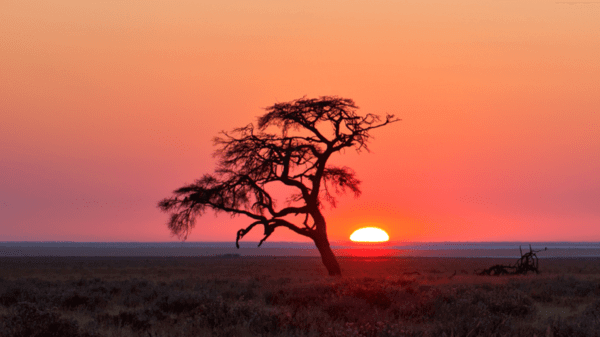 Sub-Saharan Africa