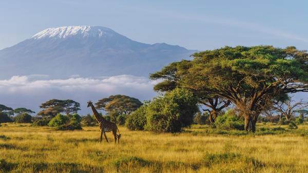 Kenya landscape