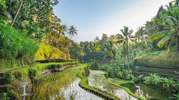 Bali Indonesia
