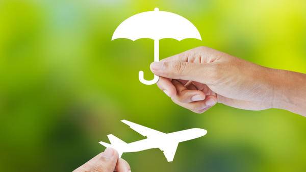 Hand holding paper on green background, Travel Insurance