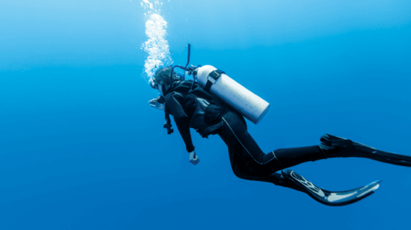 Image of a person diving 