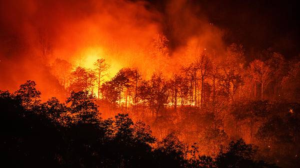 Wildfires Turkey