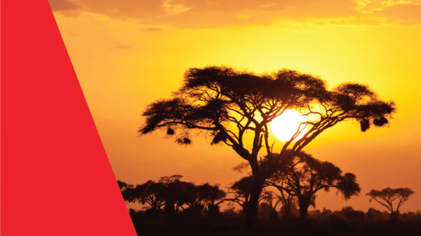 AMREF Flying Doctors