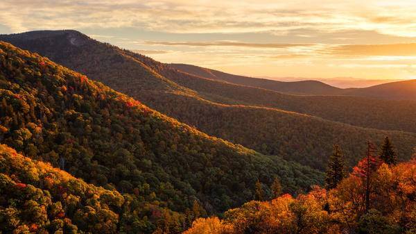 Autumn travel trends