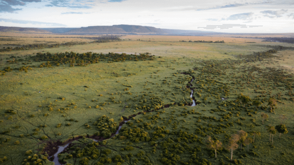 Maasai Mara