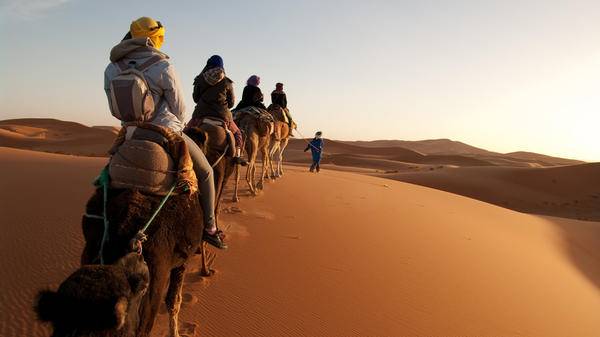 Tourists on camel trek