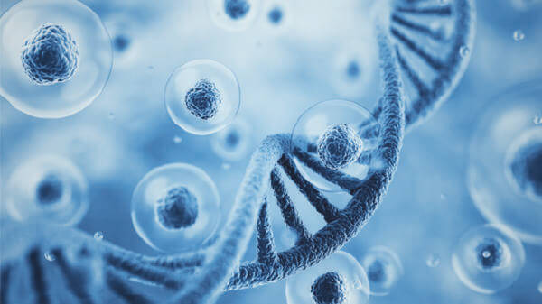 Up close shot of DNA