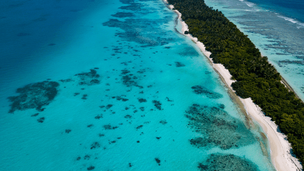 Bodies of four missing Italian divers located in Maldives following fatal cave diving incident