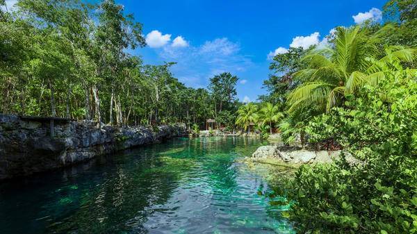 US summer trips extend as travel insurance demand jumps almost 25%
