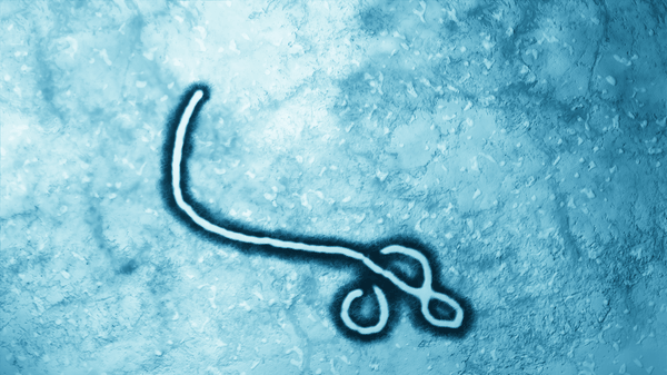 Ebola outbreak exposes fault lines in insurance, assistance, and healthcare, experts warn