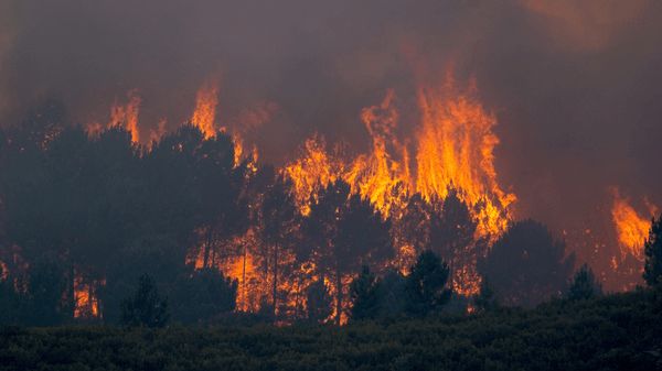 European wildfires trigger mass evacuations as travel disruption intensifies