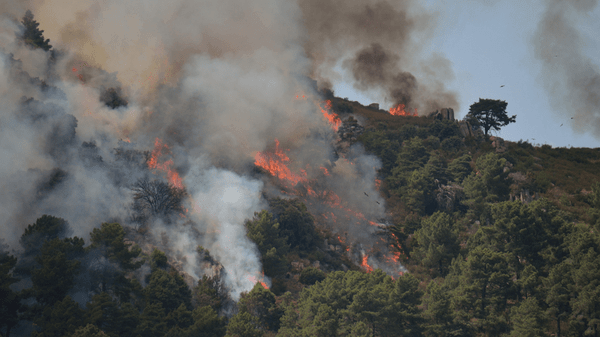 Majority of Spain wildfire victims confirmed as foreign nationals