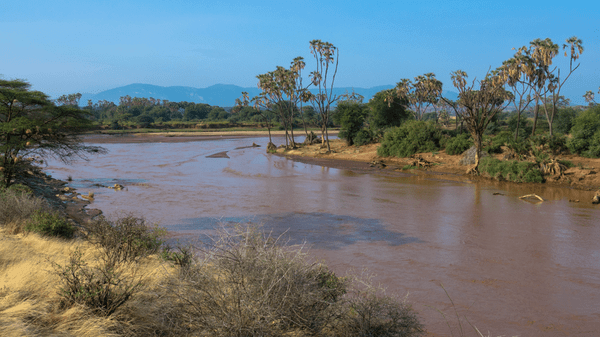 Five US tourists among seven killed in Kenya safari helicopter crash