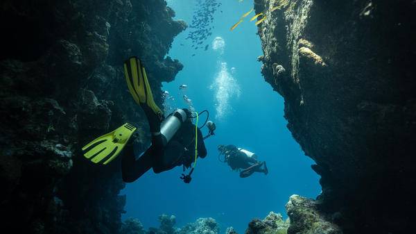 Westfield promotes specialist cover for divers
