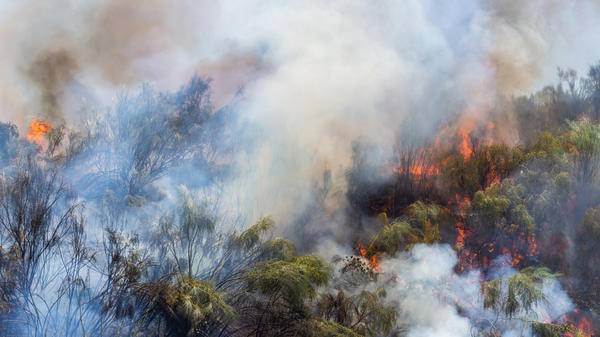 Colombia wildfire forces evacuations near Villa de Leyva