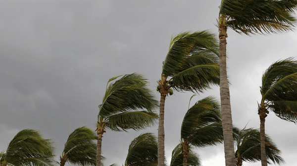 Hurricane Polo raises travel disruption risk along Mexico’s Pacific coast