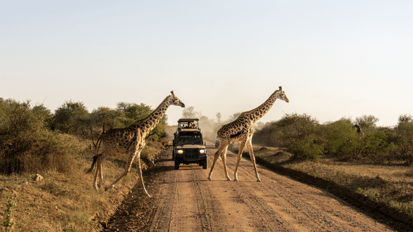 Tanzania mandates travel insurance for foreign visitors