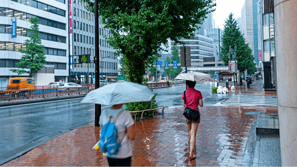 Typhoon Dujuan disrupts travel across Japan as hundreds of flights cancelled