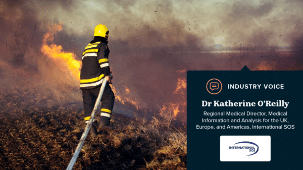 Wildfire and firefighter 