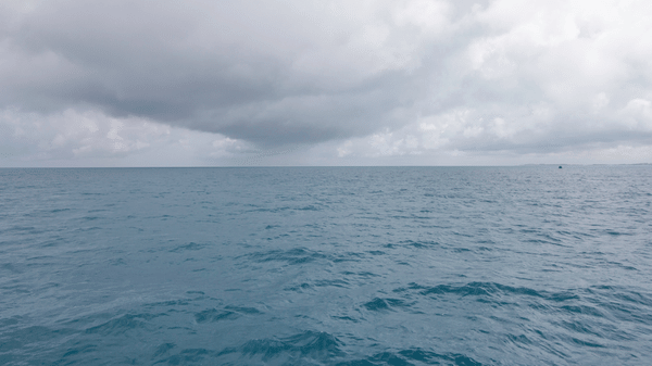 Search continues after Latitude Air Ambulance aircraft disappears off US coast