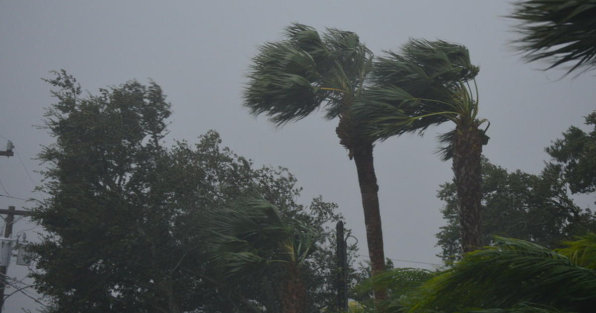 Tornadoes and flooding Hurricane Milton strikes Florida ITIJ