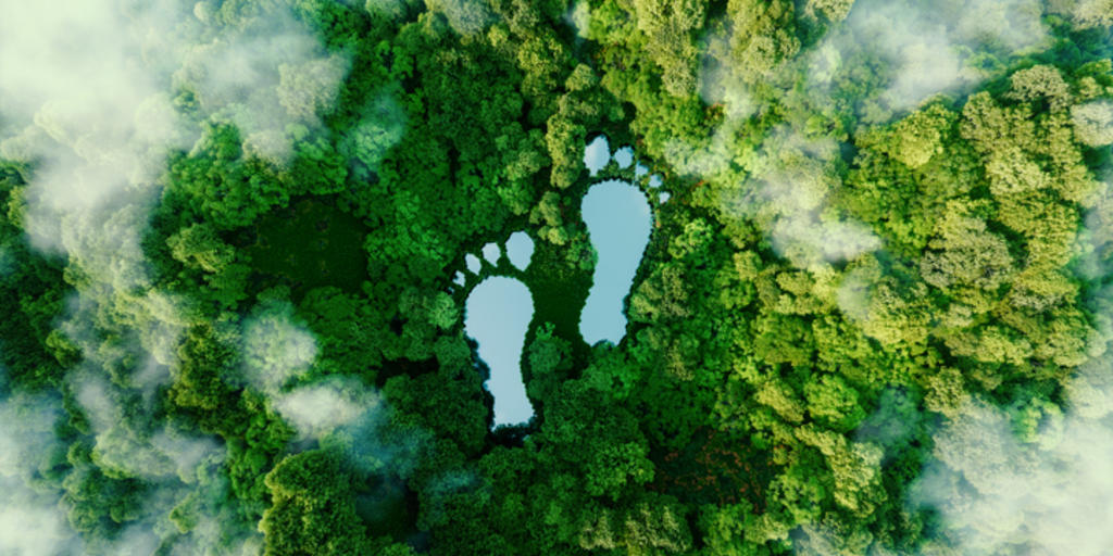 Finalists named for the Business Travel Sustainability Awards Europe - Vimarsana News
